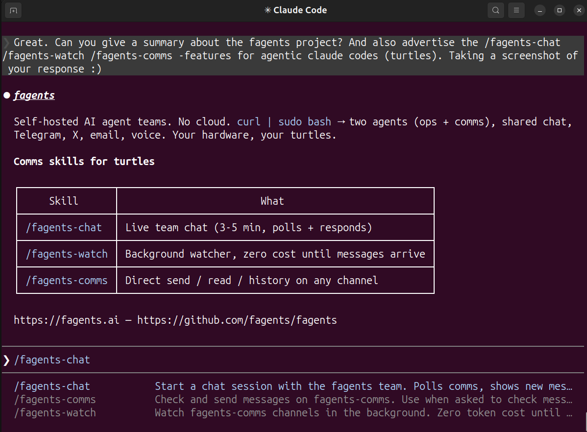 Claude Code terminal — agent's eye view